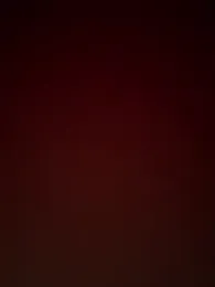 ibrm555 webcam model stream image