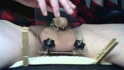 freewillie1234 webcam model stream image