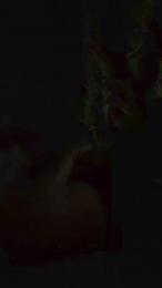 LaNitida webcam model stream image