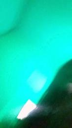 Blanquita_Perl4 webcam model stream image