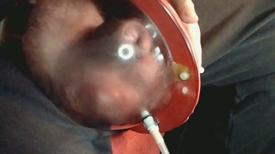 Melon_4_u webcam model stream image