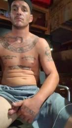 ToTrue87 webcam cam4 model stream image