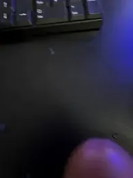 Sanicrt webcam model stream image