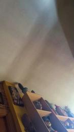 esteladelcarme5 webcam model stream image