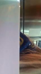 esteladelcarme5 webcam model stream image