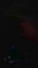 Spanit webcam model stream image