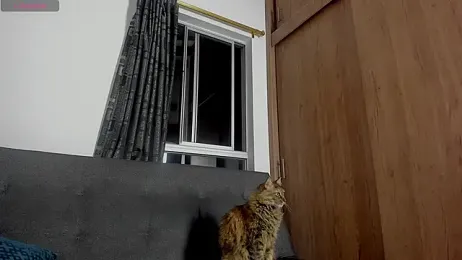 curt_xxx webcam model stream image