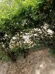 aditya_993169 webcam model stream image