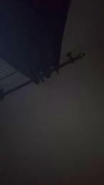 Alex_v22d webcam model stream image