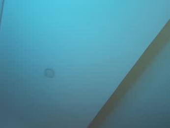 clark_strong webcam model stream image