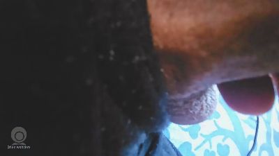 Made_in_Brazil webcam model stream image