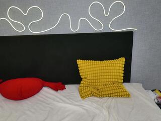 Ridge Hunter webcam model stream image