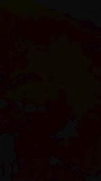 LelahAime webcam model stream image