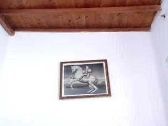 trix_fiore_oficial webcam model stream image