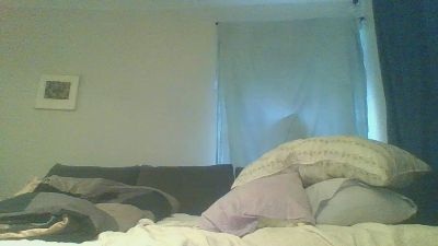 BiManUnity webcam model stream image