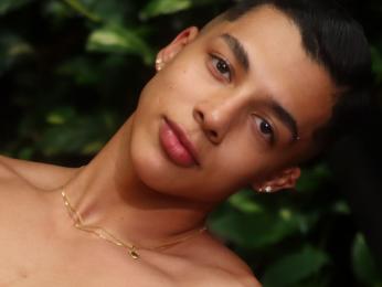 TroyeWiilliams webcam model stream image