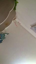 Isisytomy webcam model stream image