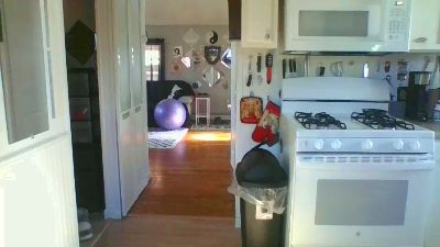 buttbyter1 webcam model stream image