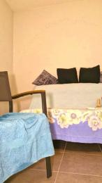 Dollysex6 webcam model stream image