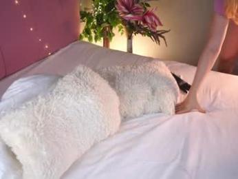 islandladies chaturbate stream image