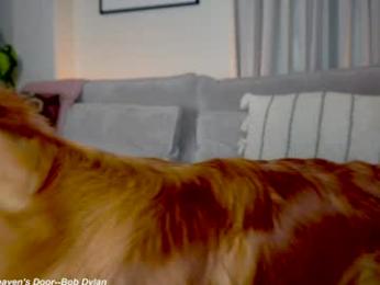 x_lily_x chaturbate stream image