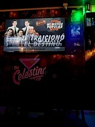 You-kitty2025 stripchat stream image