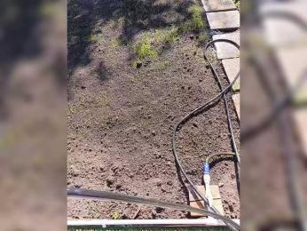 Angelia22 bongacams stream image