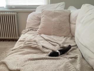 Dylan Knight flirt4free stream image