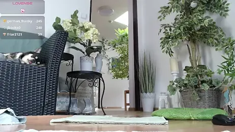 Squirtmania stripchat stream image