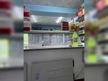 praesertim bongacams stream image