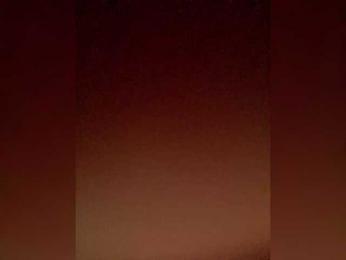 PALMIIRA bongacams stream image