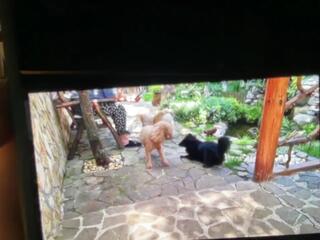 Anais A flirt4free stream image