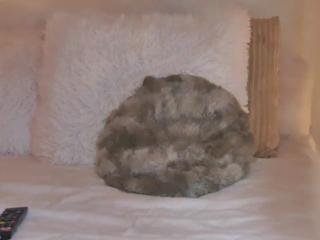 Katrin Love flirt4free stream image