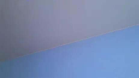 frankiefoxie_ stripchat stream image