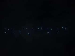 scarletandtom camsoda stream image