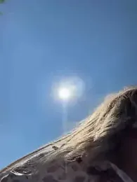 LavenderHot stripchat stream image