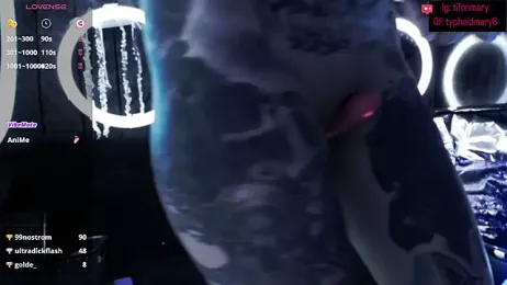 TyphoidMary stripchat stream image