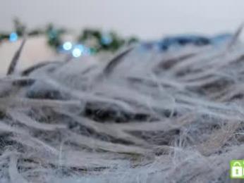 pinkncrazy chaturbate stream image