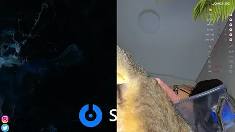 Mary_Lise stripchat stream image