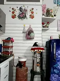 Best-Couple stripchat stream image