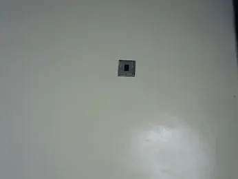 Rasta_tattooed stripchat stream image