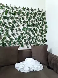 Bold-Cat stripchat stream image