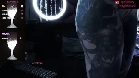 TyphoidMary stripchat stream image