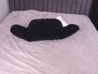 january-rose camsoda stream image