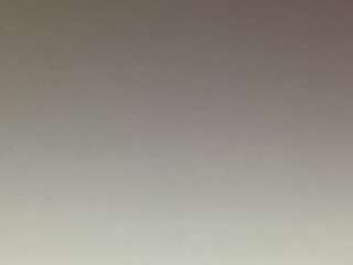 t1ger camsoda stream image