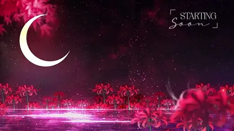 LewdFoxy_VT stripchat stream image