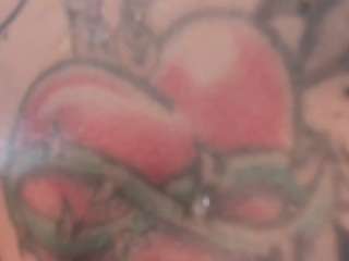 fermercury camsoda stream image