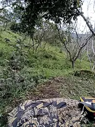 Simone_Miller stripchat stream image