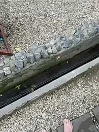 LilliThelo stripchat stream image