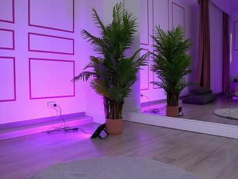 VanesaSimon bongacams stream image